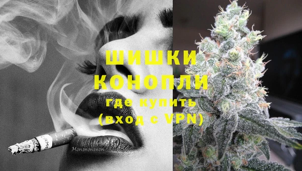 СК Ельня
