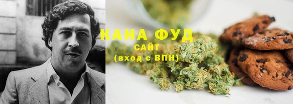 стаф Алзамай