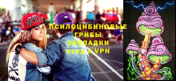 крисы Алексин