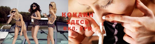 стаф Алзамай
