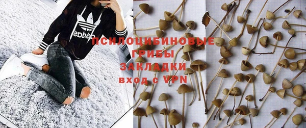 крисы Алексин