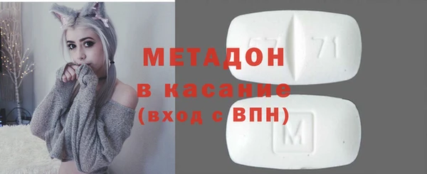 стаф Алзамай