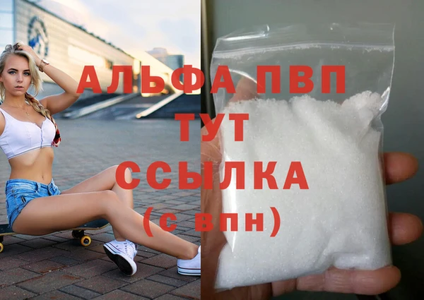 стаф Алзамай