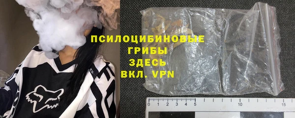 крисы Алексин