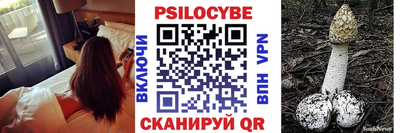 Галлюциногенные грибы Cubensis  Аргун 