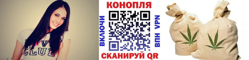 Шишки марихуана THC 21%  Аргун 